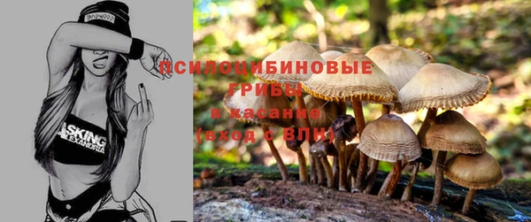 стафф Лиски
