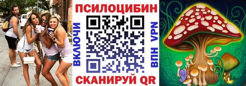 Галлюциногенные грибы Psilocybe  Купить  Скопин 
