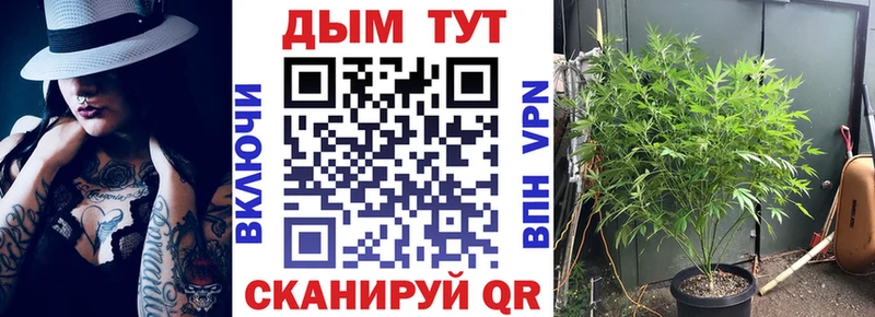Канабис ГИДРОПОН  Купить  Скопин 